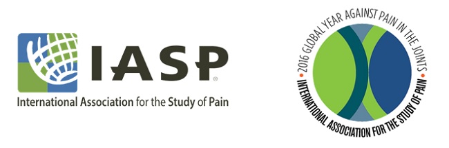 IASP Global Year Against Joint Pain Satellite Meeting